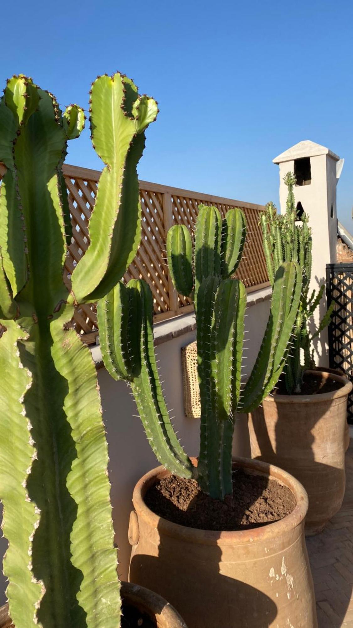 Riad Gasaembre Touareg Marrakesh Extérieur photo